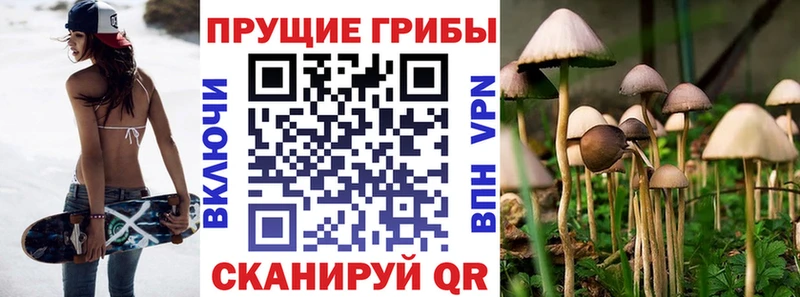 Псилоцибиновые грибы Psilocybine cubensis  Ростов-на-Дону 